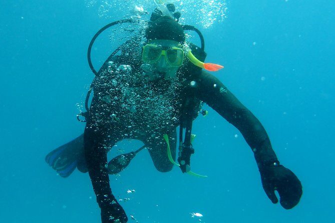 Seastar Luxury Outer Great Barrier Reef Island and Reef Tour - The Experience in Action: What Travelers Say