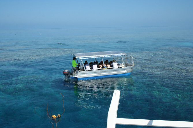 Seastar Luxury Outer Great Barrier Reef Island and Reef Tour - Final Thoughts: Is This Tour Worth It?