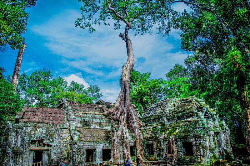 seat-in-coach-small-circuit-tour-with-sunrise-at-angkor-wat