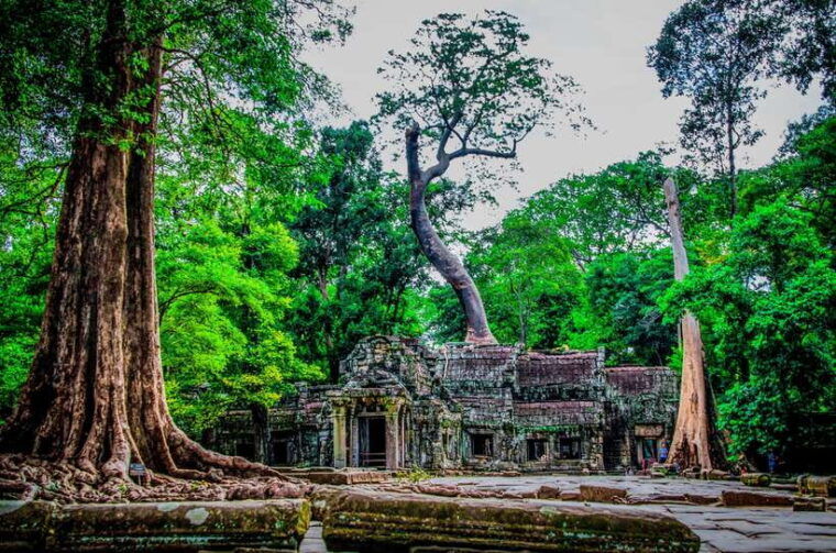 seat-in-coach-small-circuit-tour-with-sunrise-at-angkor-wat