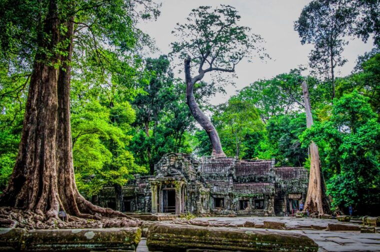 seat-in-coach-small-circuit-tour-with-sunrise-at-angkor-wat