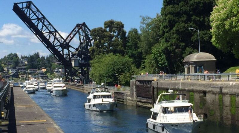 seattle-3-hour-city-highlights-tour