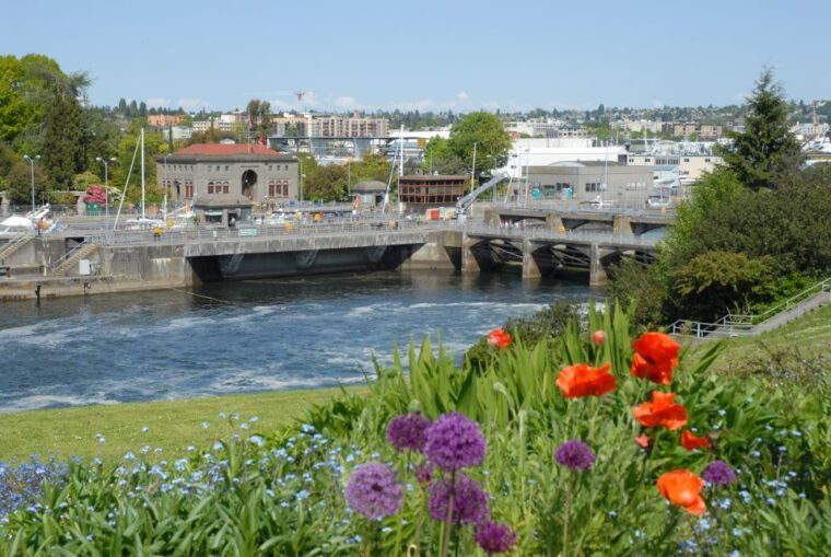 seattle-3-hour-city-tour-by-bus