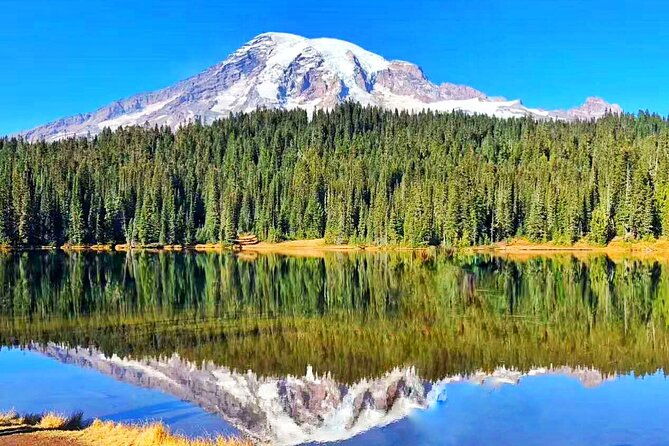 seattle-amtrak-coast-starlight-redwood-7-day-tour-from-sf