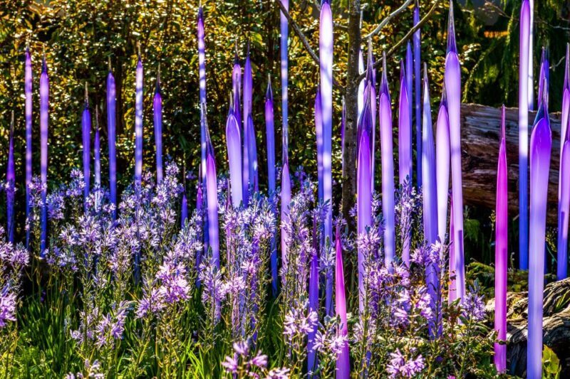 Seattle: Chihuly Garden and Glass Entry Ticket - What to Expect When You Visit
