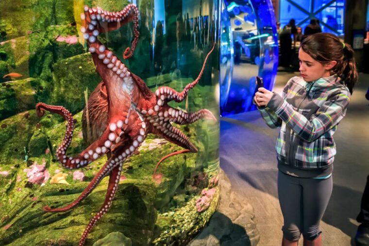 seattle-citypass-save-up-to-46-at-5-top-attractions