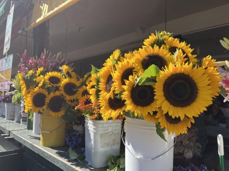 Seattle: Meet Me at the Market Food Tour - Final Thoughts: Who Will Love This Tour?