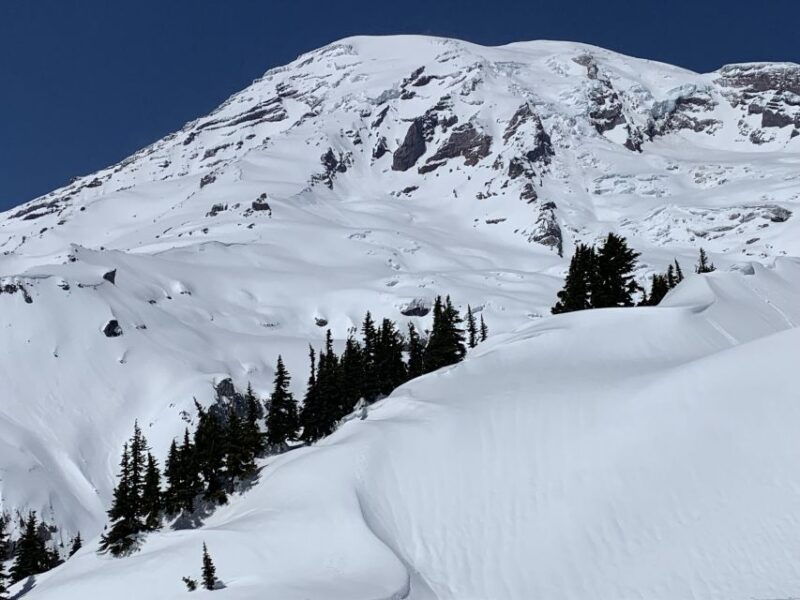 seattle-mt-rainier-hiking-w-waterfalls-glaciers-trees