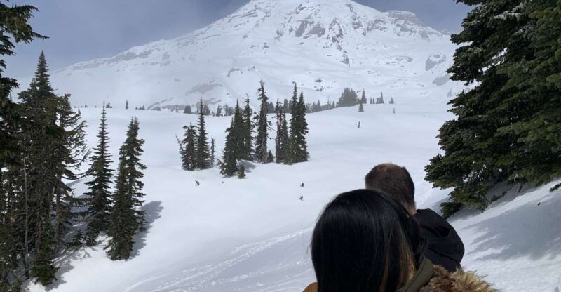 seattle-mt-rainier-hiking-w-waterfalls-glaciers-trees