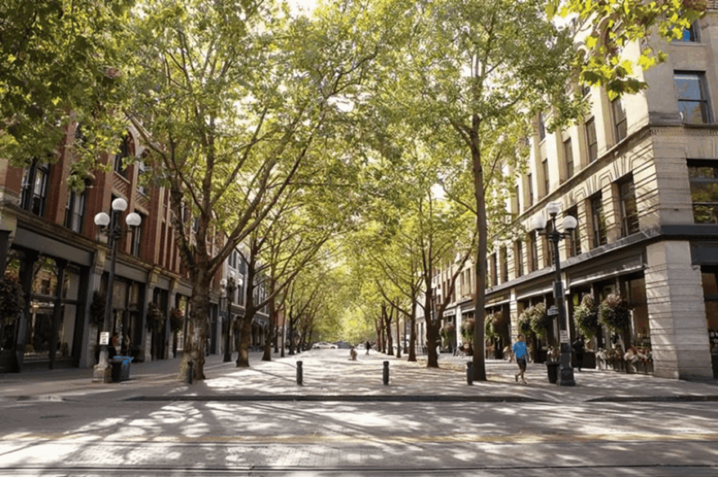 seattle-must-see-attractions-walking-tour-with-a-guide