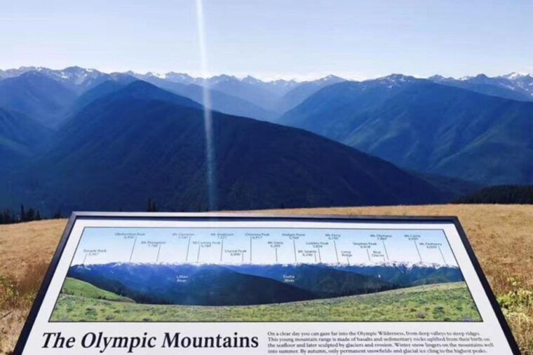 seattle-olympic-national-park-day-tour-with-scenic-ferries