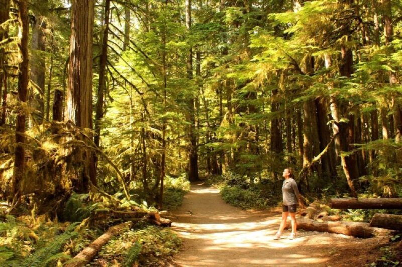 seattle-olympic-national-park-small-group-tour