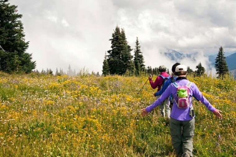 seattle-olympic-national-park-small-group-tour