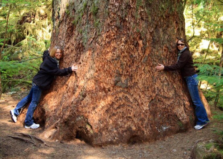 seattle-olympic-national-park-small-group-tour