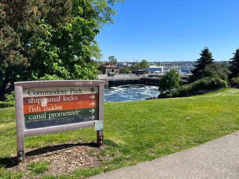 seattle-private-2-5-hour-seattle-city-tour