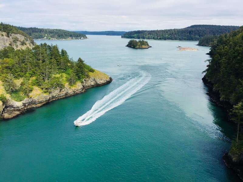 seattle-whidbey-island-deception-pass-winter-birding-trip-2