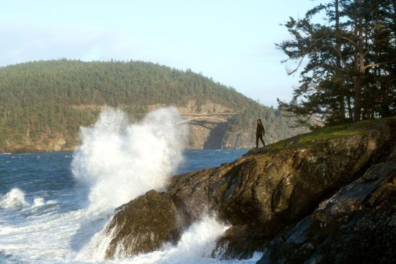 seattle-whidbey-island-deception-pass-winter-birding-trip