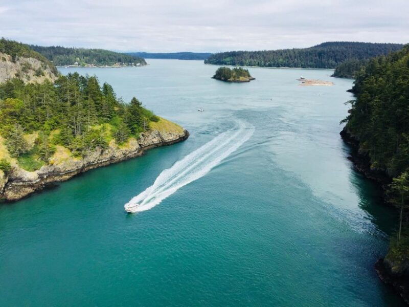 seattle-whidbey-island-deception-pass-winter-birding-trip