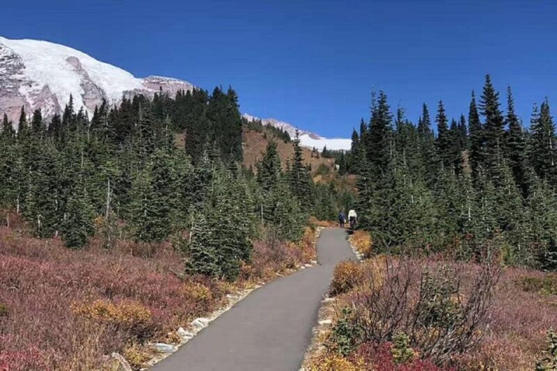 Seattle:Small Group Mount Rainier National Park 1-Day Tour - Why Choose the Small Group Mount Rainier Tour?