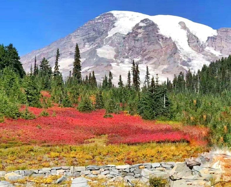 Seattle:Small Group Mount Rainier National Park 1-Day Tour - Transport & Group Size