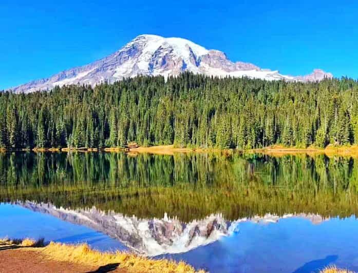 Seattle:Small Group Mount Rainier National Park 1-Day Tour - Food, Water & Extras