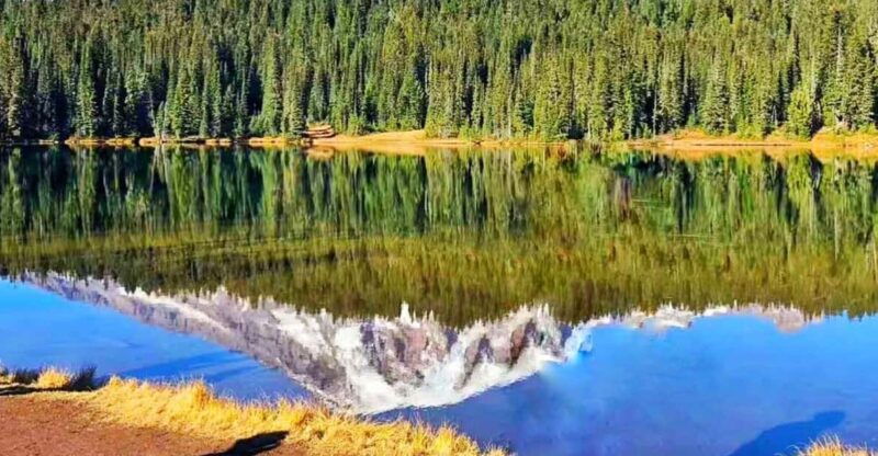 seattlesmall-group-mount-rainier-national-park-1-day-tour