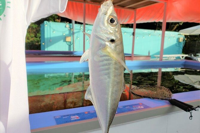 seawater-fishing-pond-and-hamayaki-grill-bbq-experience
