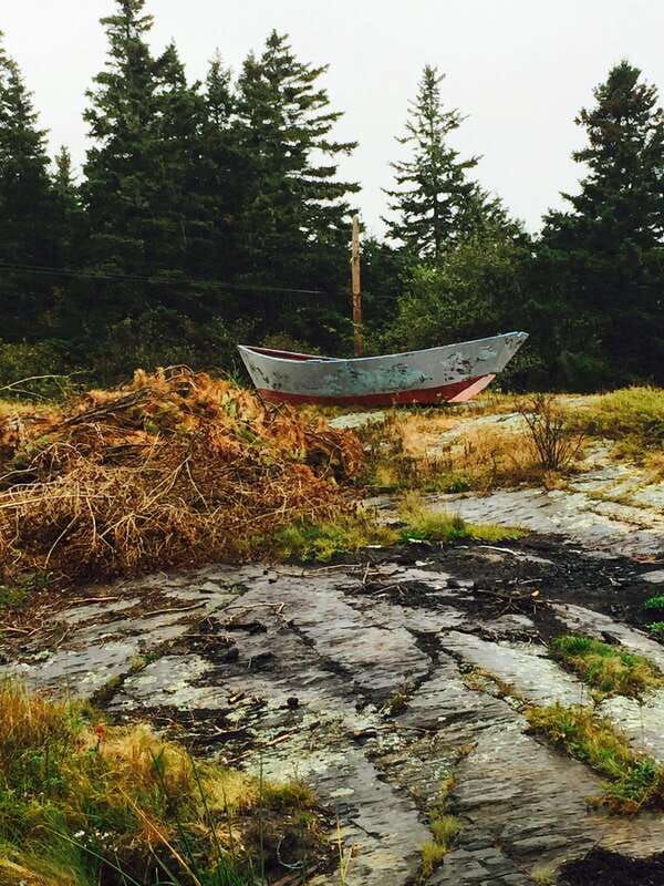 seaweed-tours-lunenburg-n-s-can-unesco-world-heritage-site-2