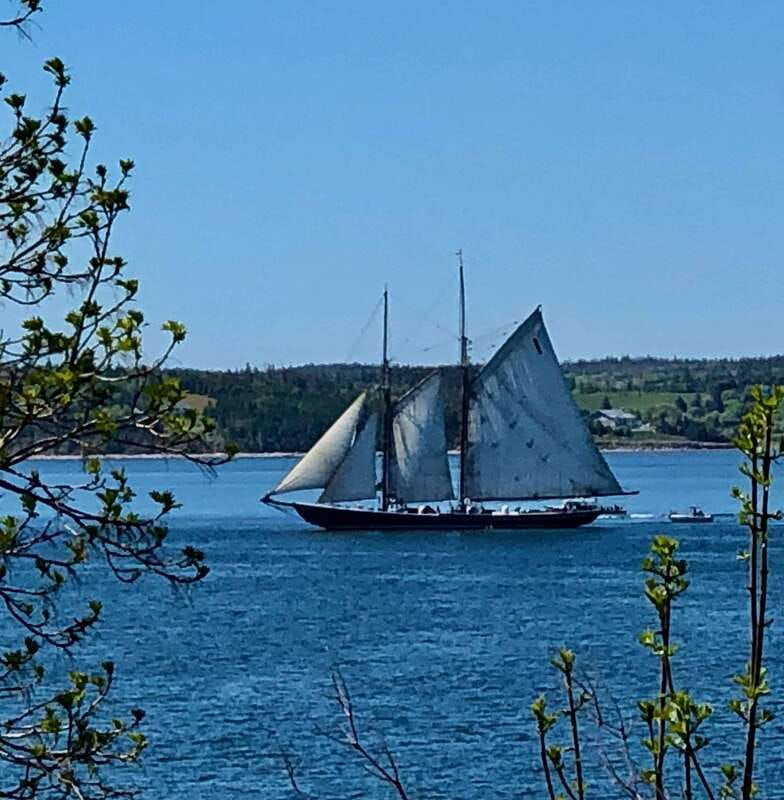 seaweed-tours-lunenburg-n-s-can-unesco-world-heritage-site-2