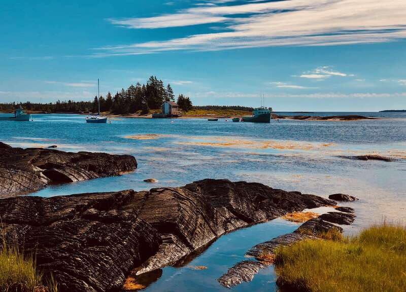 seaweed-tours-lunenburg-n-s-can-unesco-world-heritage-site
