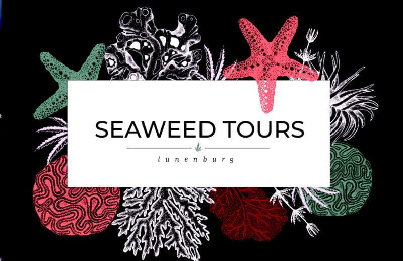 seaweed-tours-lunenburg-n-s-can-unesco-world-heritage-site