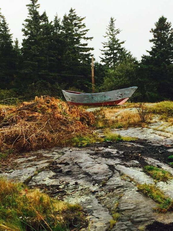 seaweed-tours-lunenburg-n-s-can-unesco-world-heritage-site