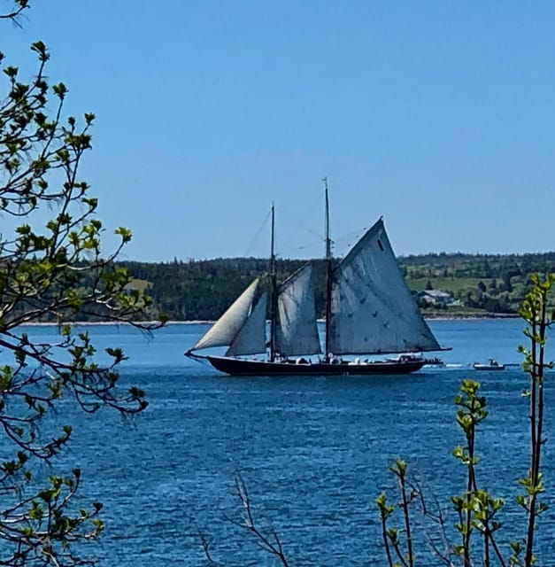 seaweed-tours-lunenburg-n-s-can-unesco-world-heritage-site