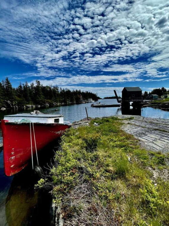 seaweed-tours-lunenburg-n-s-can-unesco-world-heritage-site
