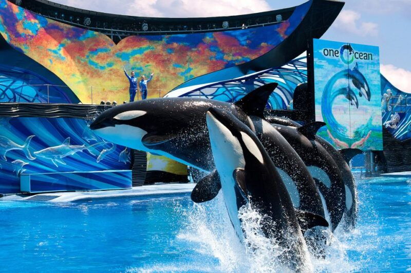 seaworld-orlando-park-admission-ticket