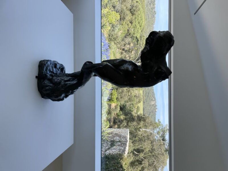 seayou-escape-porquerolles-excursion-in-semi-rigid-odyssee