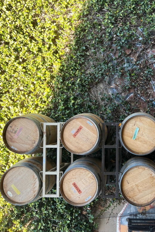 sebastopol-guided-wine-tasting-experience-with-sommelier