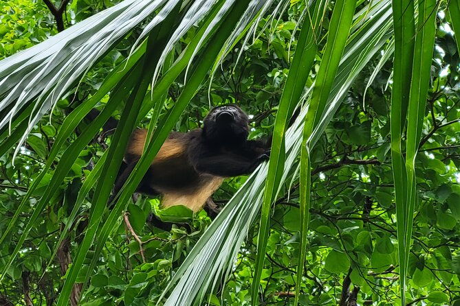 secluded-beach-tour-1h-1-2