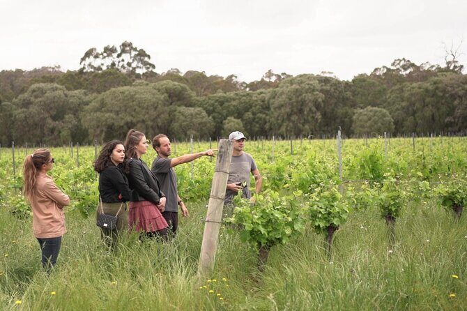 Secret Delights: Wine, Coffee, Artisan and Forest Tour - Authentic Touches and Insider Insights