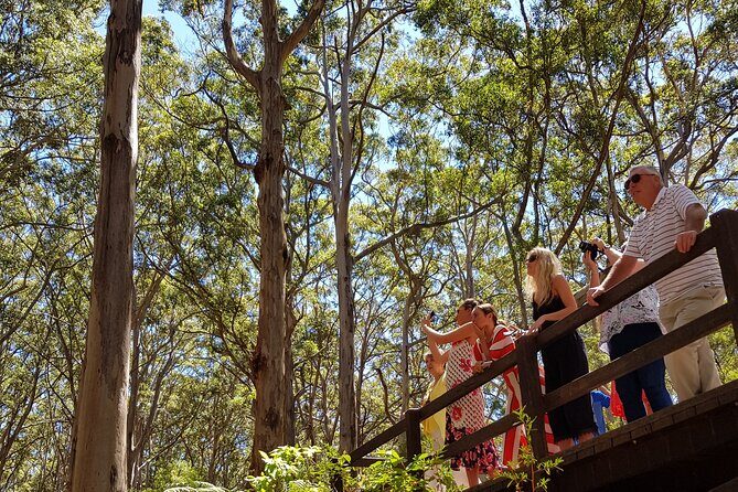 Secret Delights: Wine, Coffee, Artisan and Forest Tour - Who Would Love This Tour?
