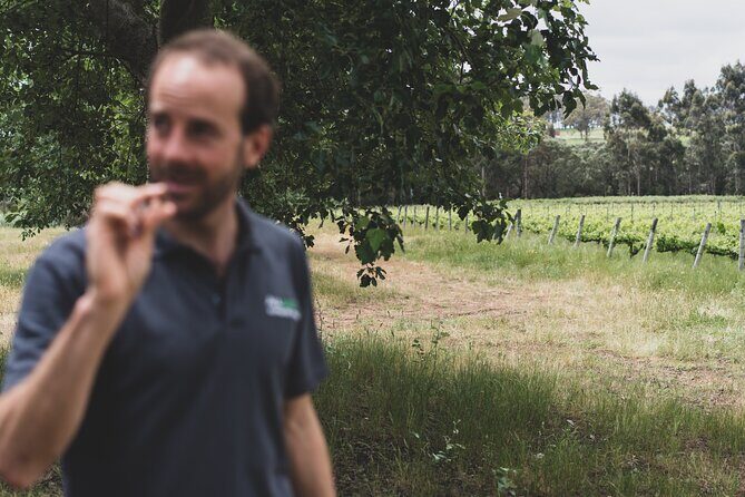 Secret Delights: Wine, Coffee, Artisan and Forest Tour - Final Thoughts
