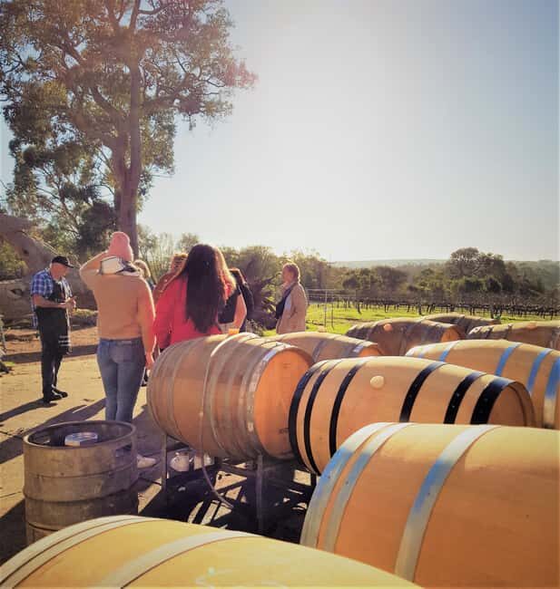 Secret Delights: Wine, Coffee, Artisan and Forest Tour - An In-Depth Look at the Tour