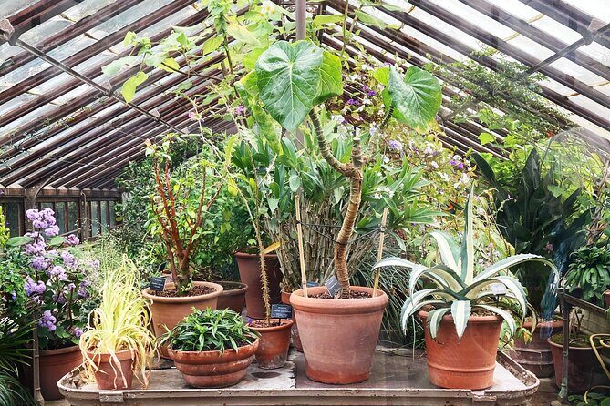 Secret Gardens of London Private Tour - Practical Tips for Your Visit