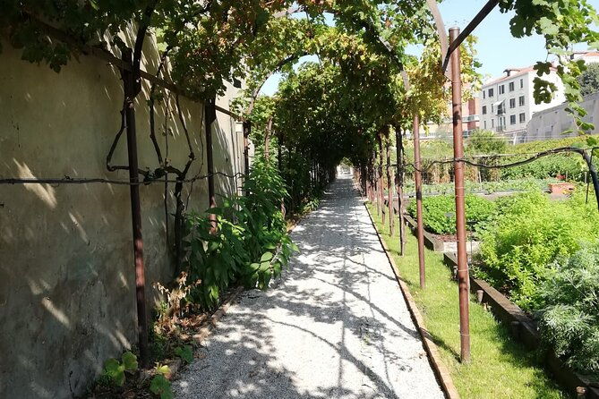 secret-gardens-of-venice-walking-tour