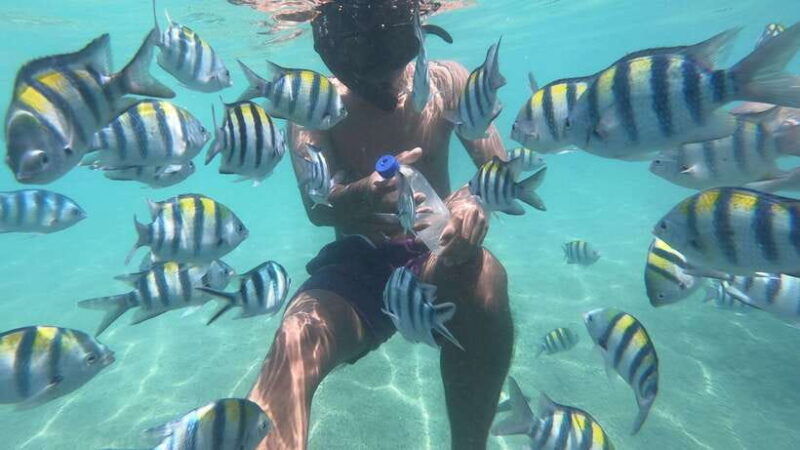 secret-island-gili-nanggu-sudak-and-kedis-snorkeling-tour