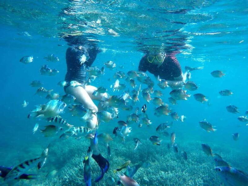 secret-island-gili-nanggu-sudak-and-kedis-snorkeling-tour