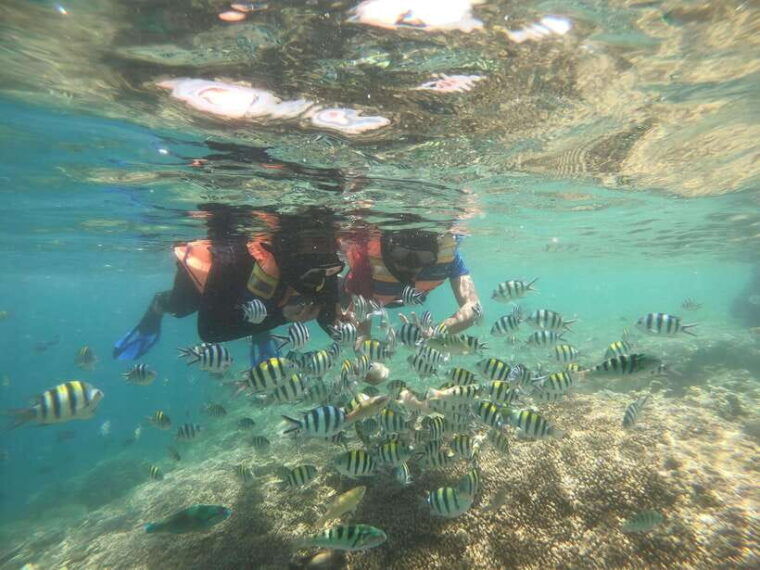 secret-island-gili-nanggu-sudak-and-kedis-snorkeling-tour