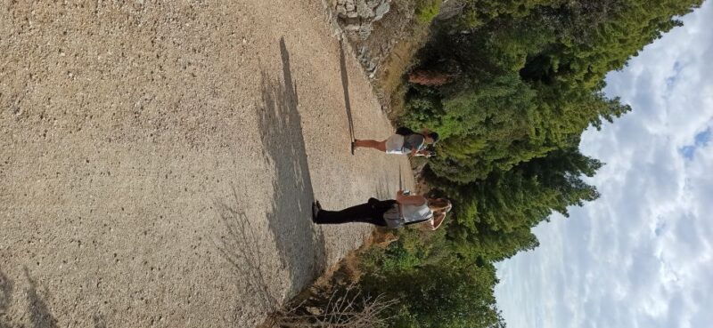 secret-marjan-park-hiking-tour-in-split-3