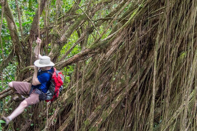 secret-oahu-half-circle-island-tour-with-a-local-guide