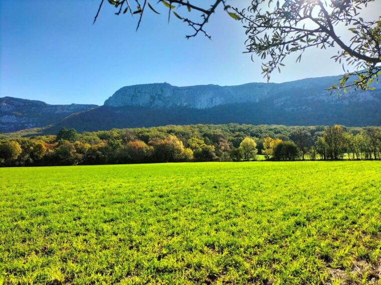 secret-provence-on-mary-magdalenes-path